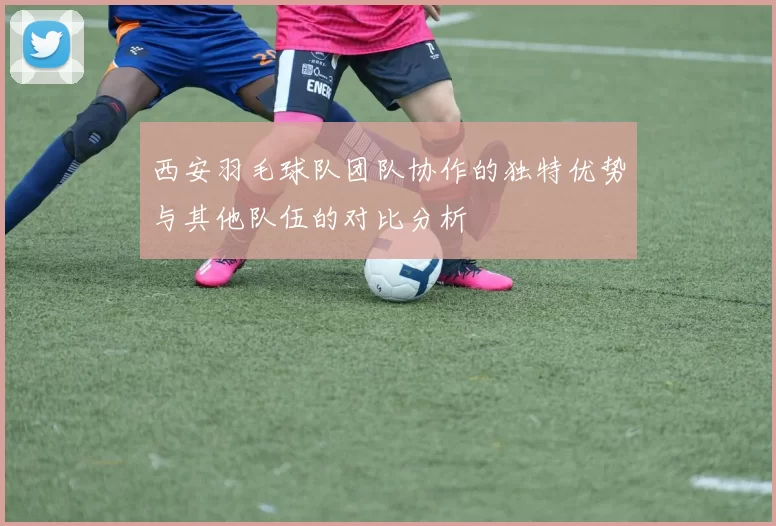 西安羽毛球队团队协作的独特优势与其他队伍的对比分析