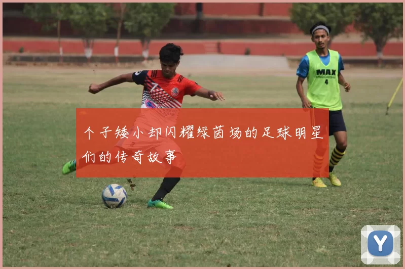 个子矮小却闪耀绿茵场的足球明星们的传奇故事