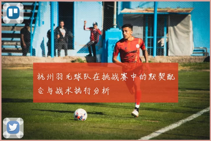 杭州羽毛球队在挑战赛中的默契配合与战术执行分析