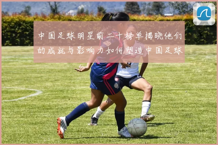 中国足球明星前二十榜单揭晓他们的成就与影响力如何塑造中国足球历史