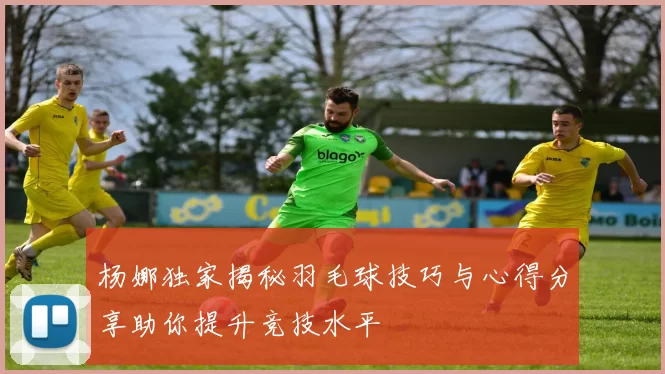 杨娜独家揭秘羽毛球技巧与心得分享助你提升竞技水平