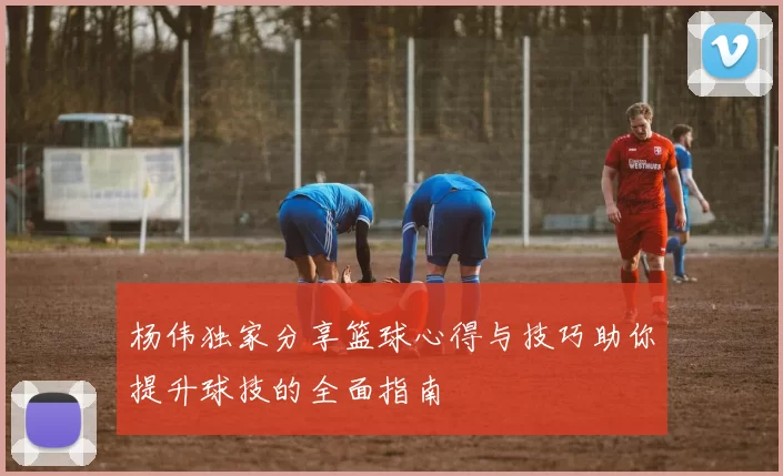 杨伟独家分享篮球心得与技巧助你提升球技的全面指南