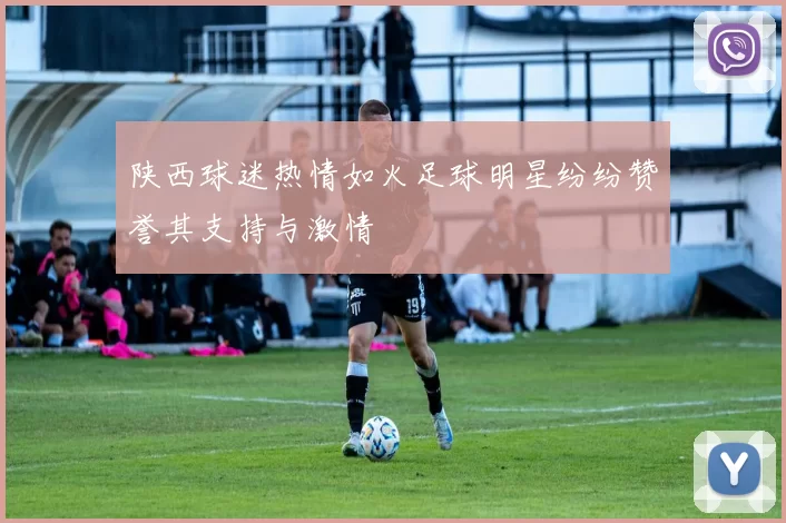 陕西球迷热情如火足球明星纷纷赞誉其支持与激情