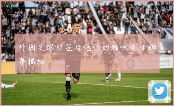 外国足球明星与他们的猫咪生活趣事揭秘