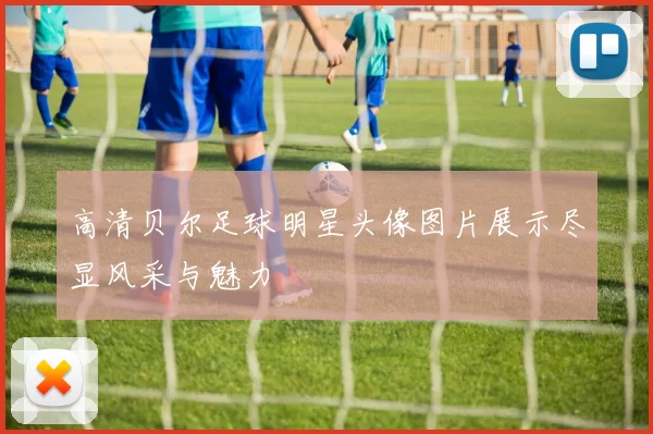 高清贝尔足球明星头像图片展示尽显风采与魅力