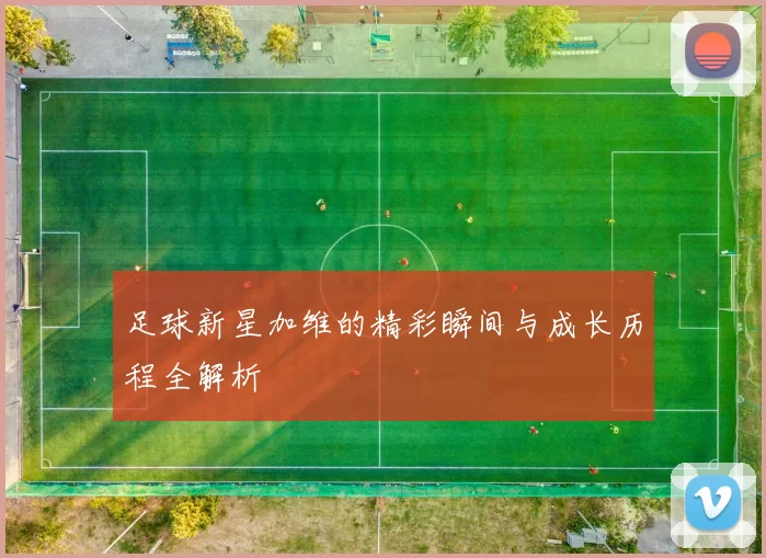 足球新星加维的精彩瞬间与成长历程全解析