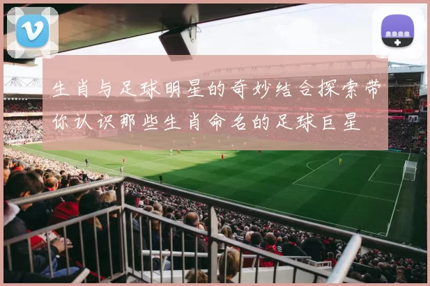 生肖与足球明星的奇妙结合探索带你认识那些生肖命名的足球巨星