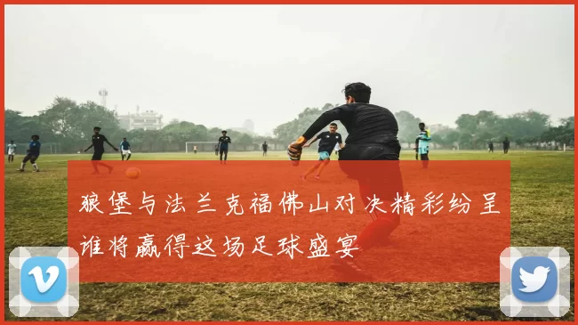 狼堡与法兰克福佛山对决精彩纷呈谁将赢得这场足球盛宴