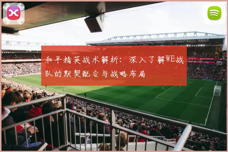 和平精英战术解析：深入了解WE战队的默契配合与战略布局