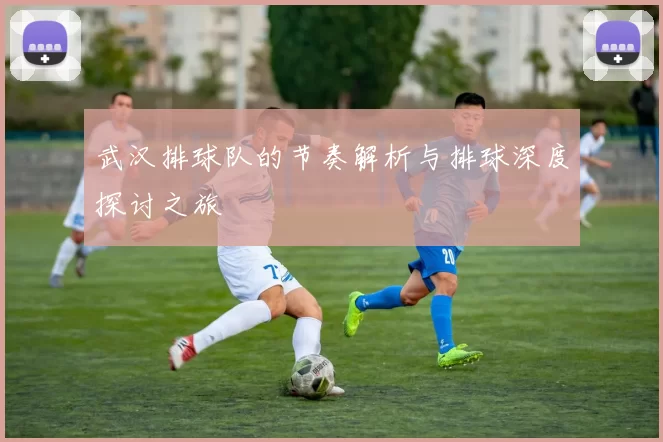 武汉排球队的节奏解析与排球深度探讨之旅