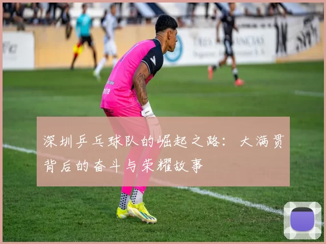 深圳乒乓球队的崛起之路：大满贯背后的奋斗与荣耀故事