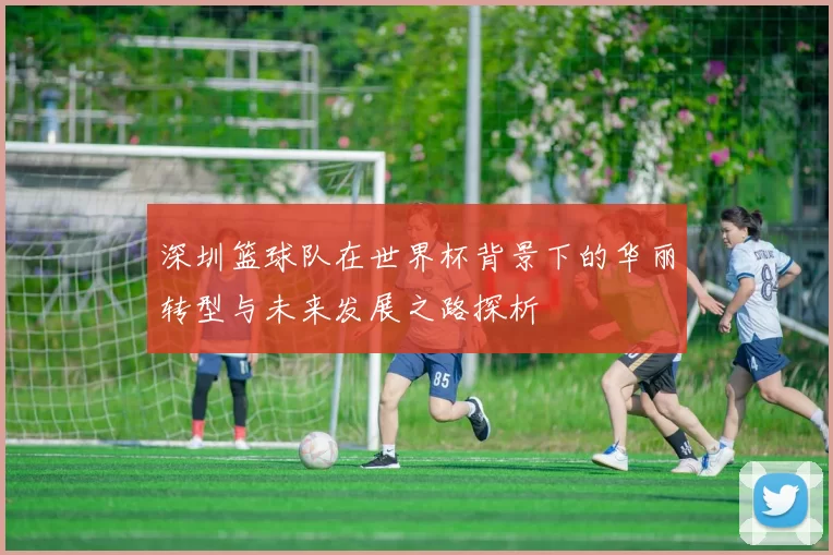 深圳篮球队在世界杯背景下的华丽转型与未来发展之路探析