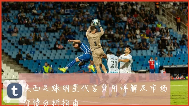 陕西足球明星代言费用详解及市场行情分析指南